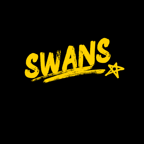 swans store